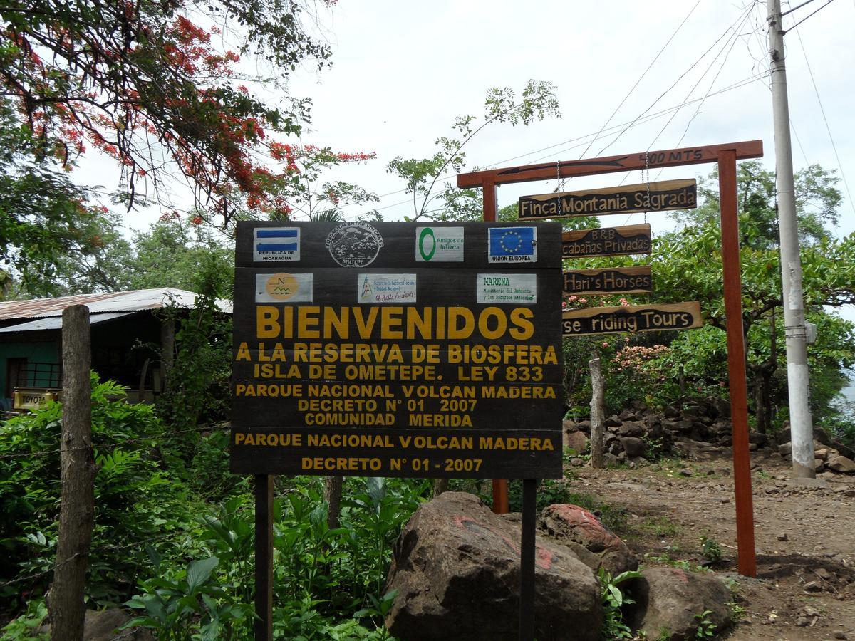 Finca Montana Sagrada Mérida Екстериор снимка
