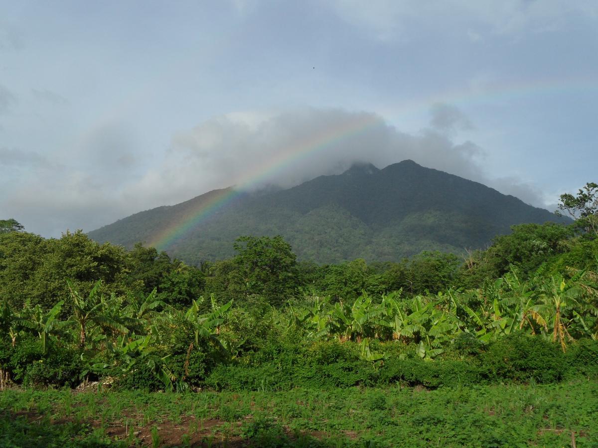 Finca Montana Sagrada Mérida Екстериор снимка