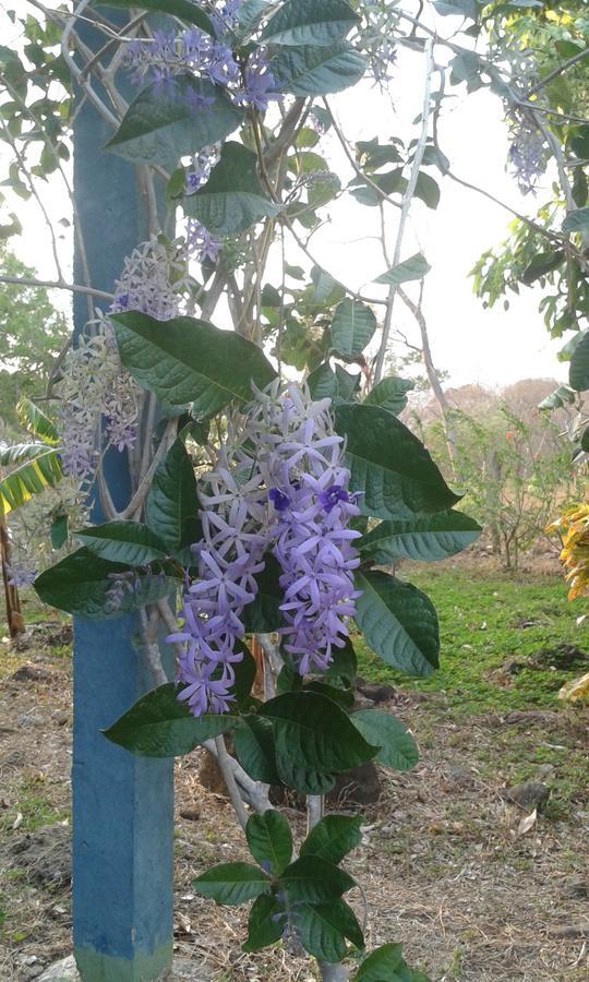 Finca Montana Sagrada Mérida Екстериор снимка
