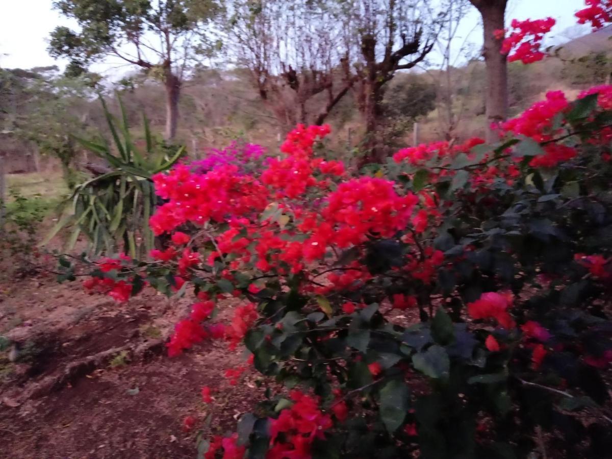 Finca Montana Sagrada Mérida Екстериор снимка