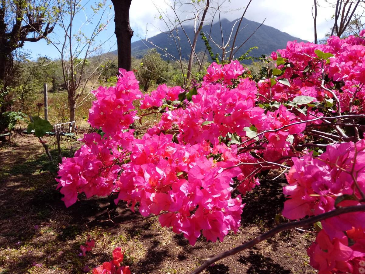 Finca Montana Sagrada Mérida Екстериор снимка